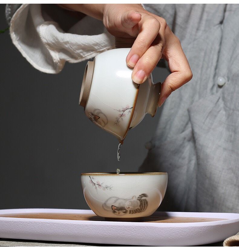 Bộ Độc Ẩm Mèo (Kèm Túi)