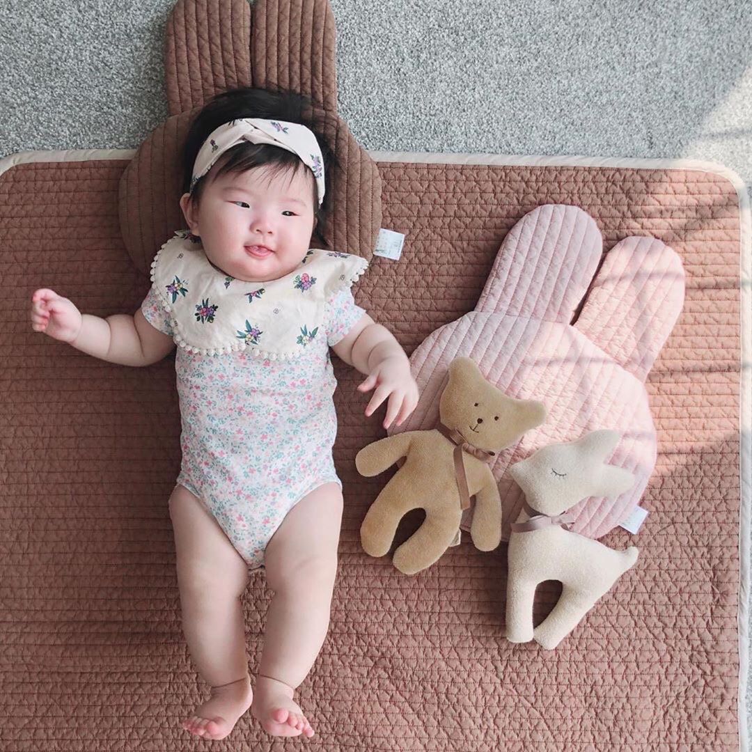 Gấu Teddy