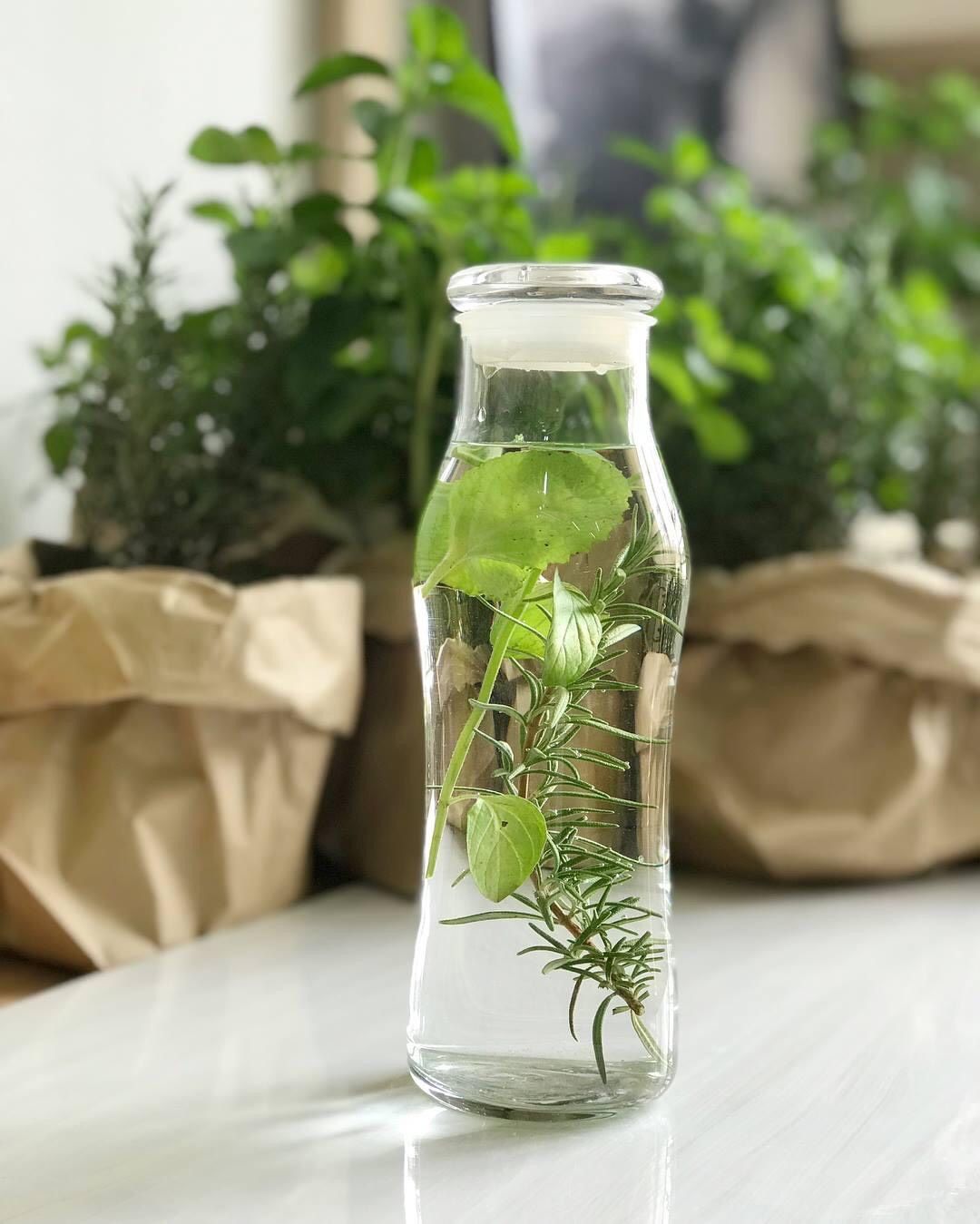 Bình Thủy Tinh Detox (500ml)