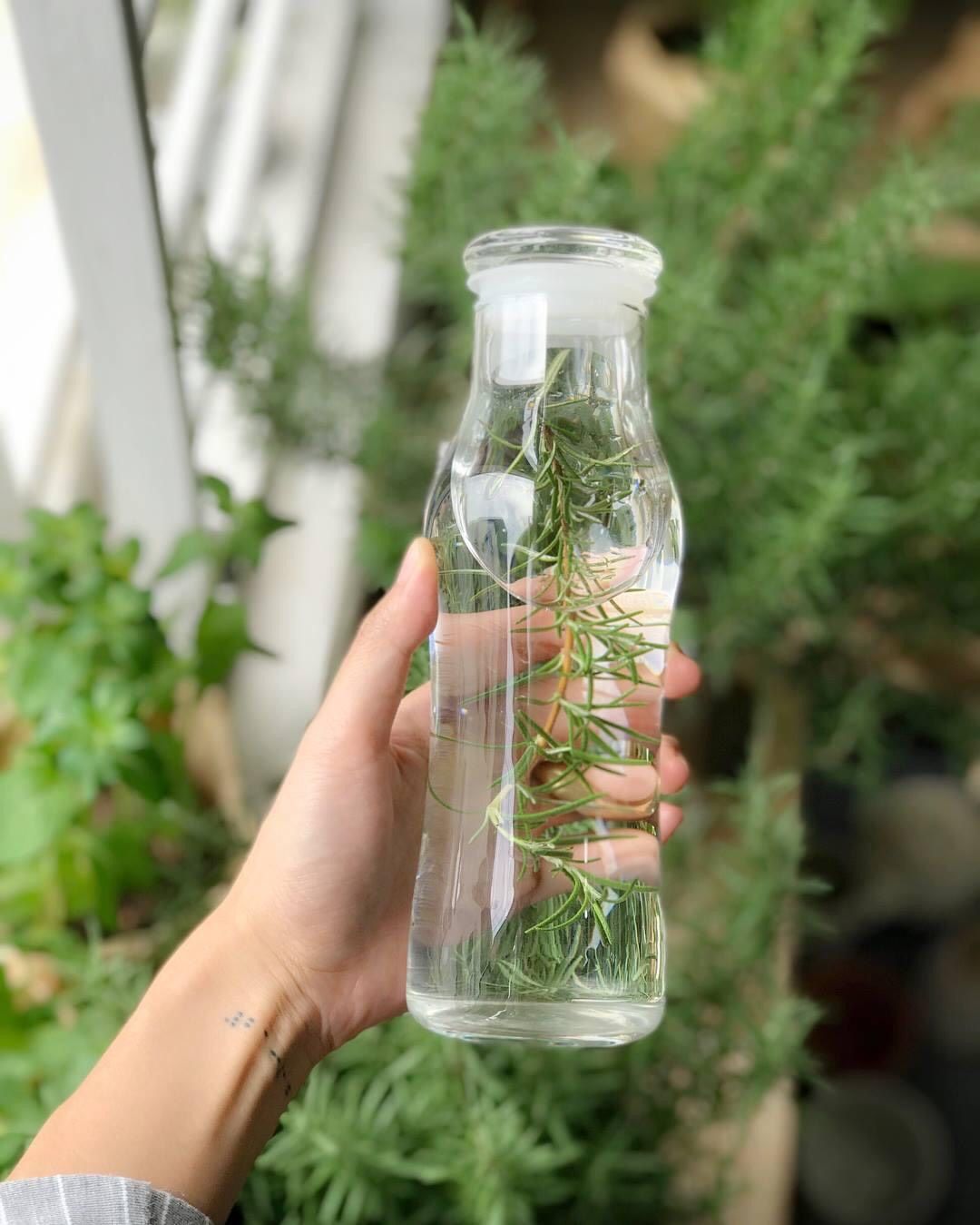Bình Thủy Tinh Detox (500ml)
