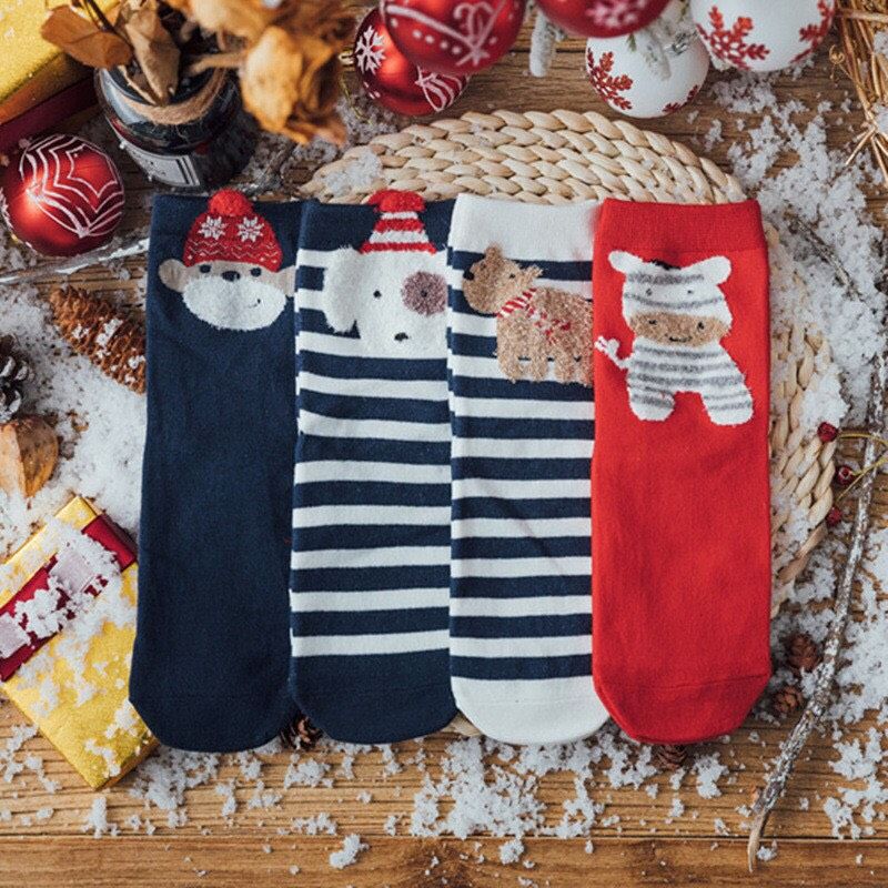 Set 4 Tất Kèm Hộp