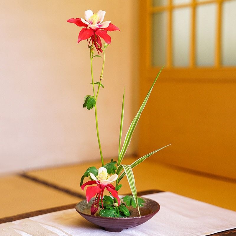 Đĩa Ikebana Mei