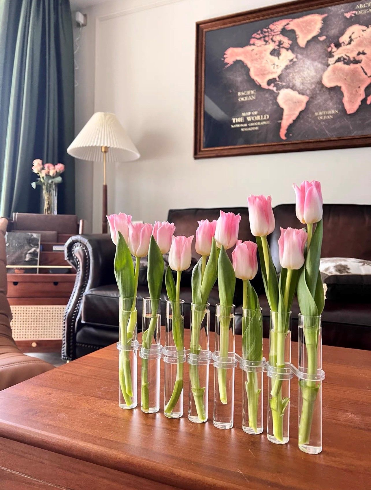 Set 6 Ống Nghiệm Cắm Hoa Hàn Quốc