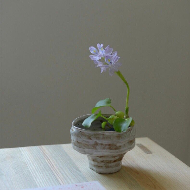 Bát Ikebana Lục Bình
