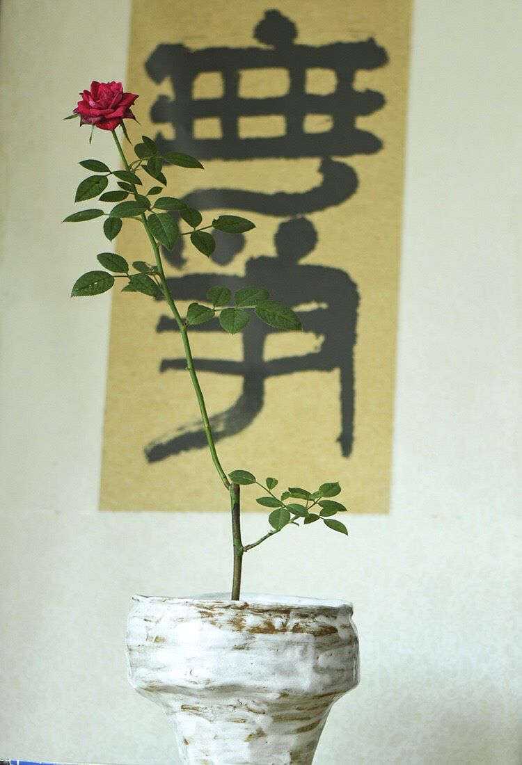Bát Ikebana Lục Bình