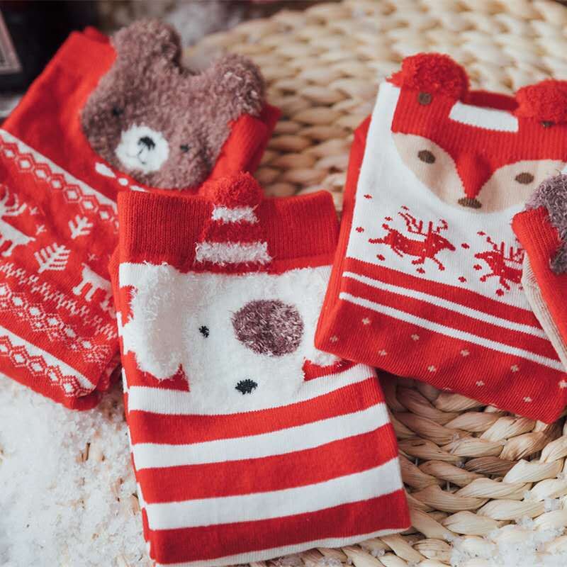 Set 4 Tất Kèm Hộp