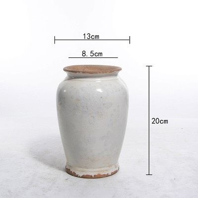 Bình Hoa Spring