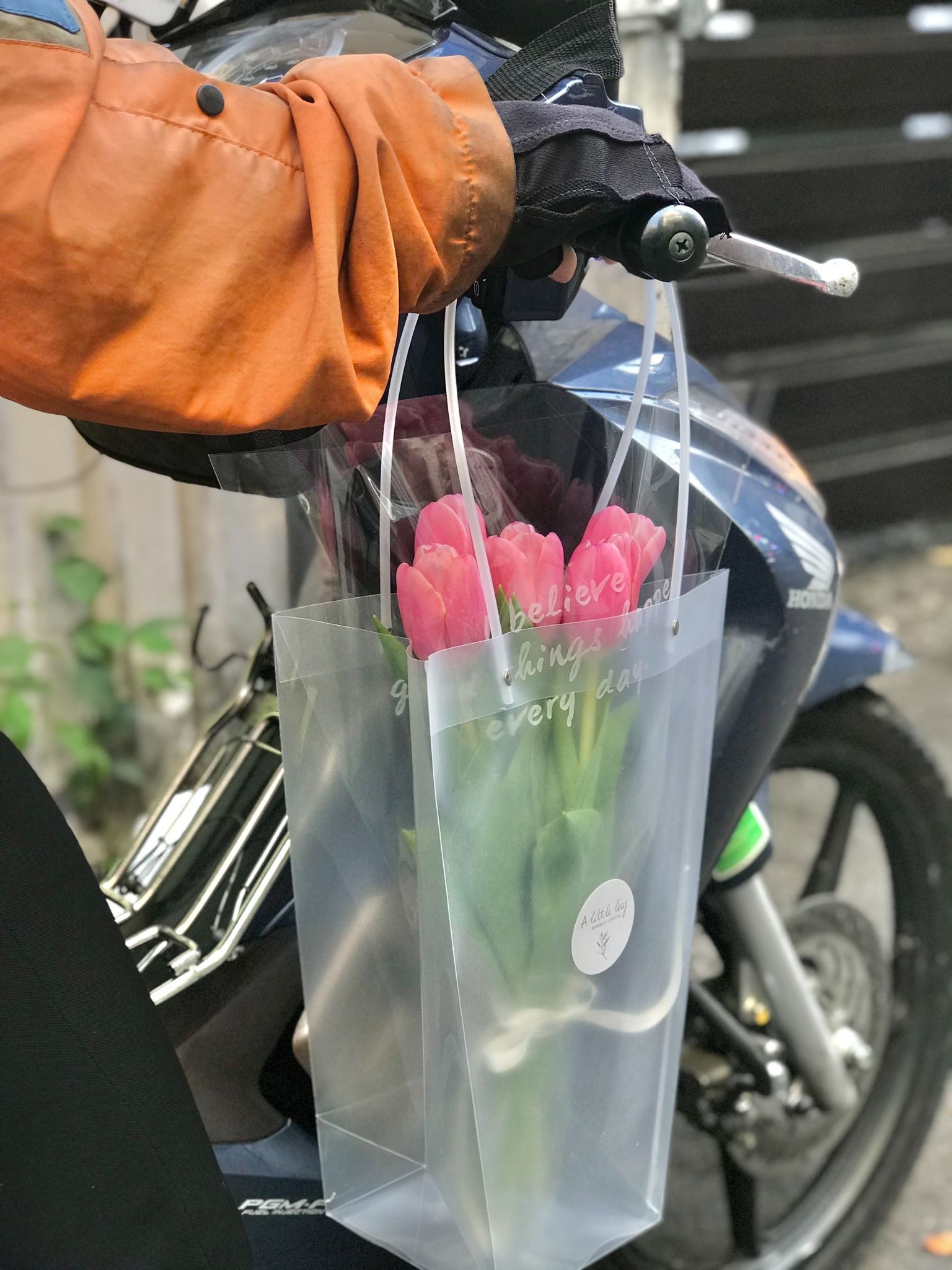 (SAIGON) Hoa Tulip Hà Lan 8/3