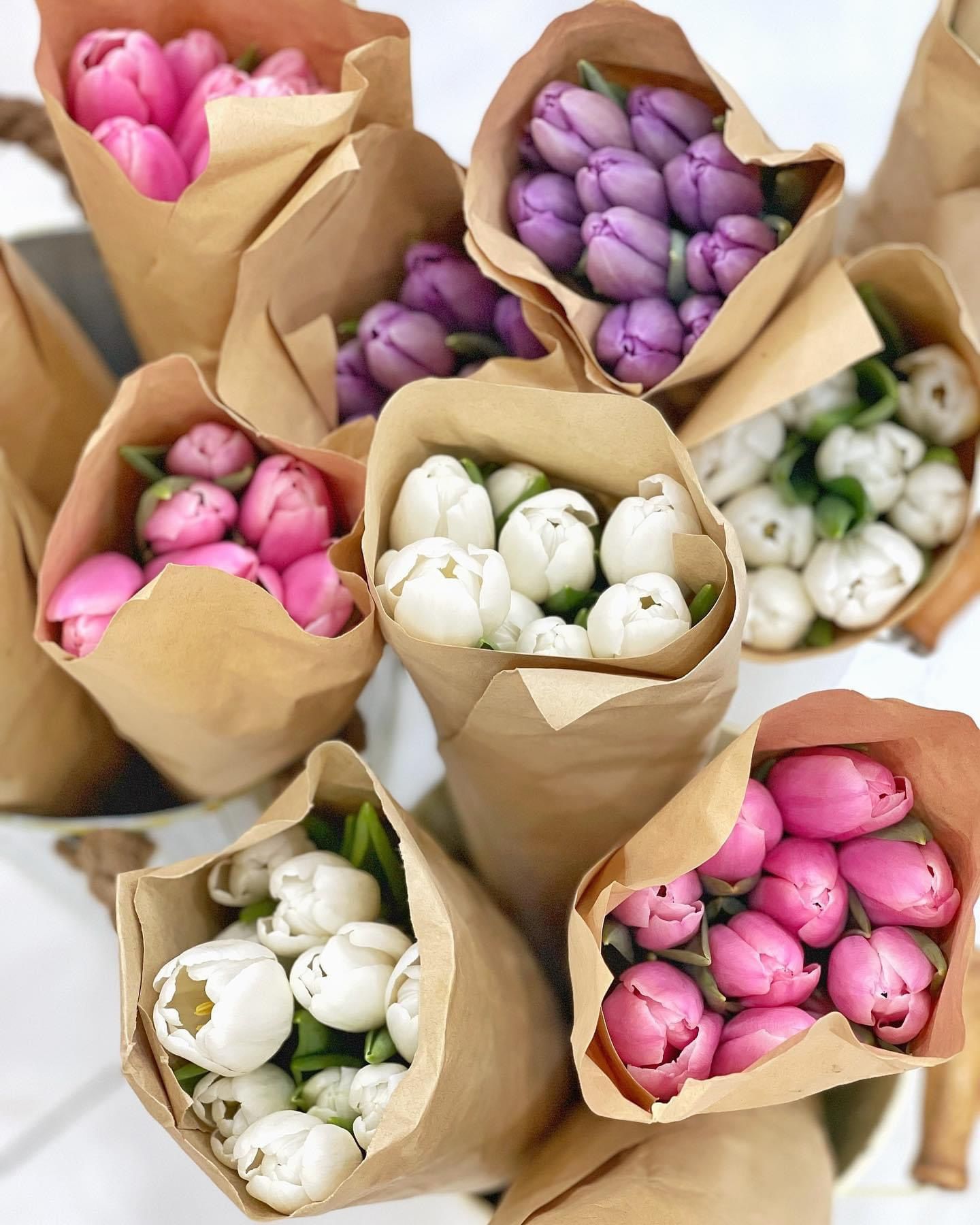 (SAIGON) Hoa Tulip Hà Lan 8/3