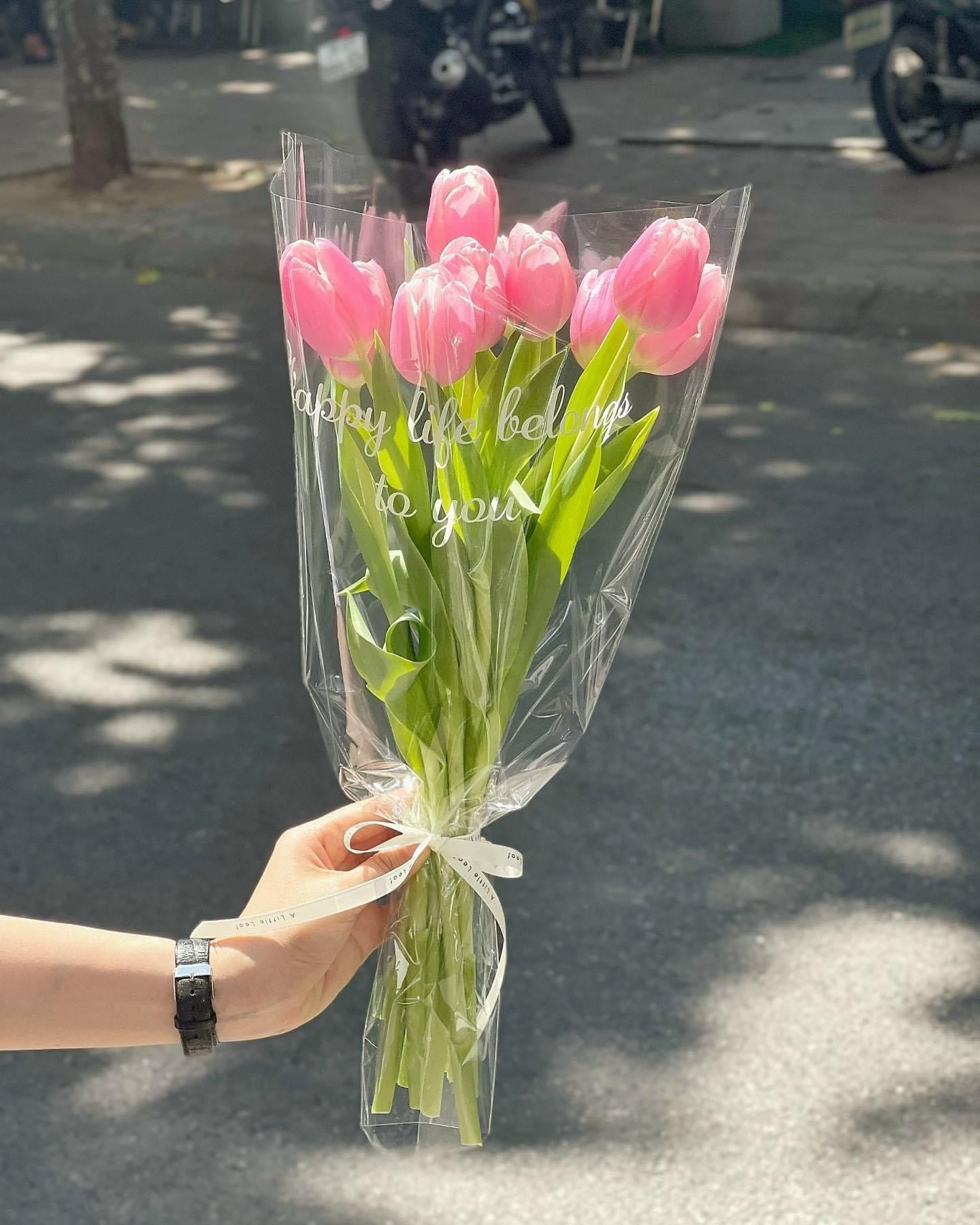 (SAIGON) Hoa Tulip Hà Lan 8/3