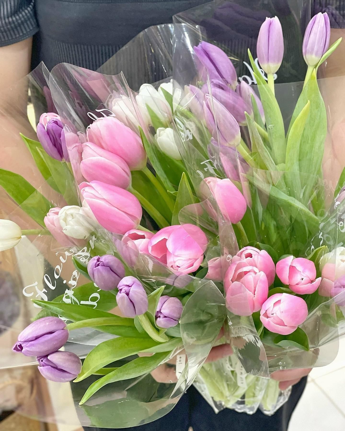 (SAIGON) Hoa Tulip Hà Lan 8/3