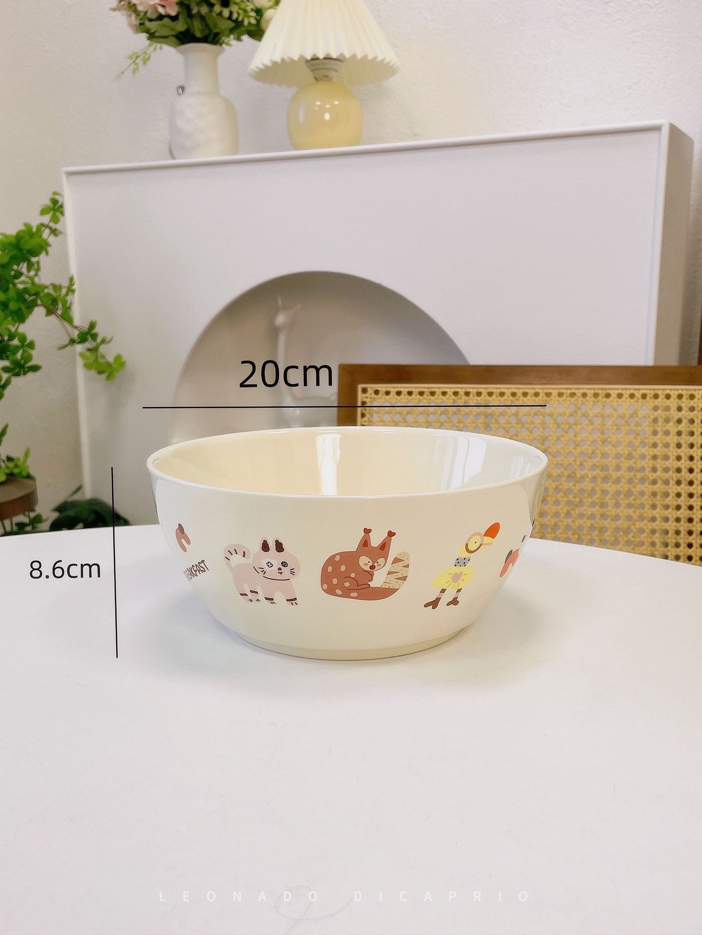 Bát Đĩa Hoạt Hình Cool
