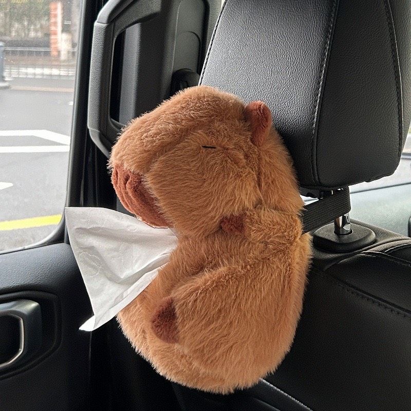 Hộp Giấy Capy