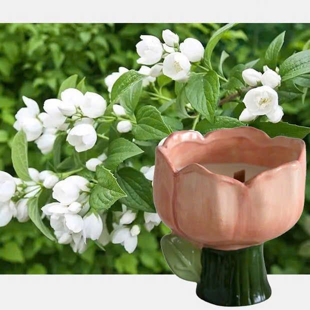 Nến Thơm Hoa Tulip Gốm