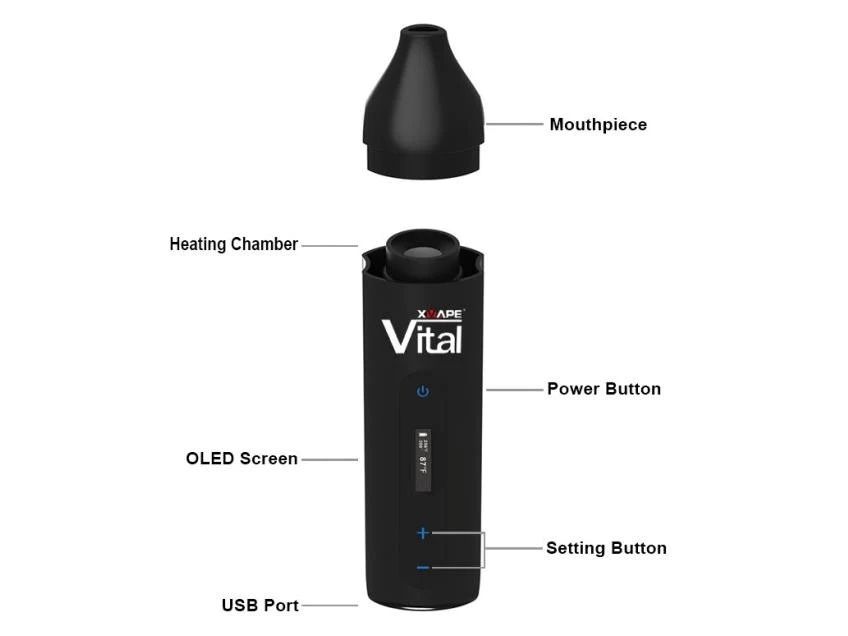  Xvape Vital 