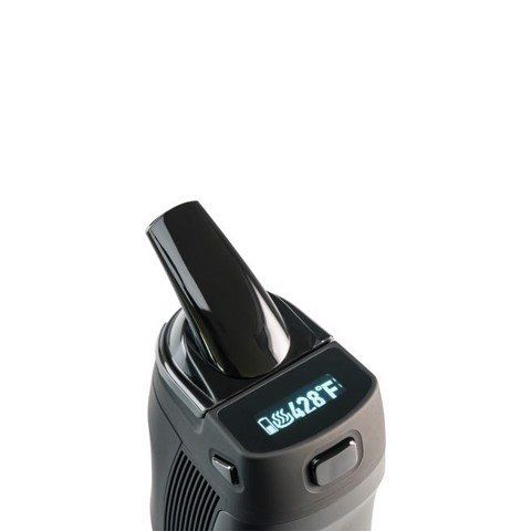 BOUNDLESS TERA