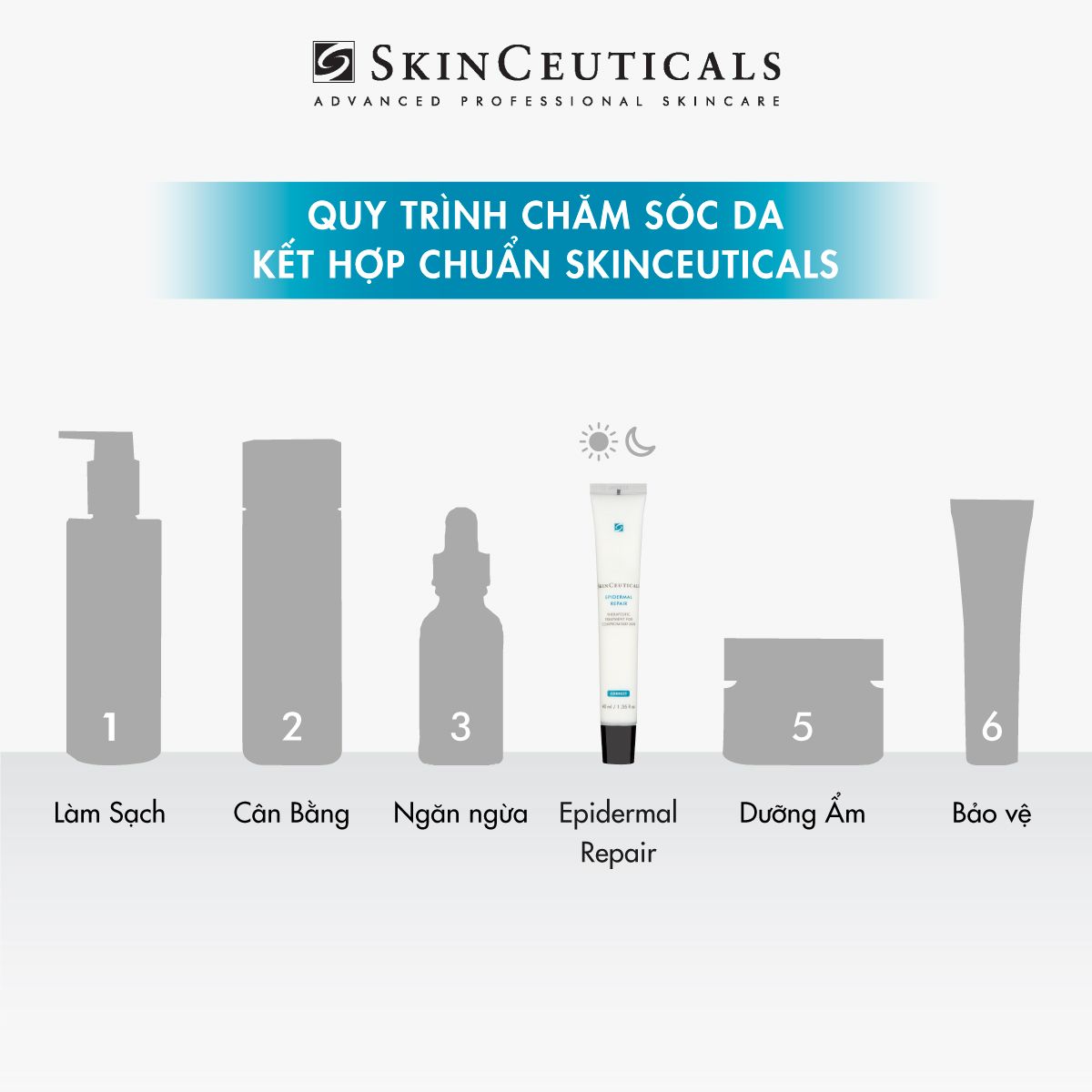 EPIDERMAL REPAIR