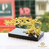 Cành Hoa Mai thế bonsai 3 in 1 mạ vàng