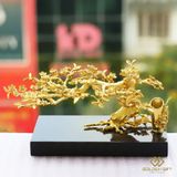 Cành Hoa Mai thế bonsai 3 in 1 mạ vàng