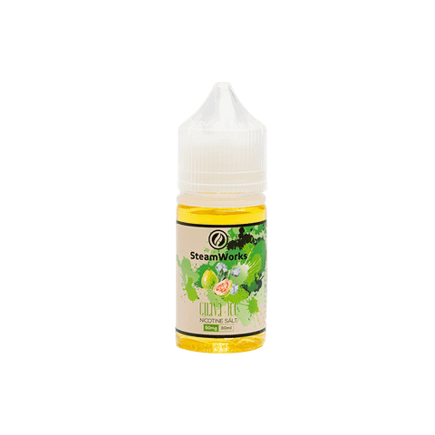 Steam Work Guava Salt Nic (30ml)(Ổi lạnh)