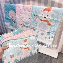 Bộ ga gối điều hòa Baby Bedding