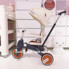 Xe đẩy Playkids S03 Trung Quốc