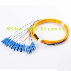 DÂY NỐI SC/UPC 12FO