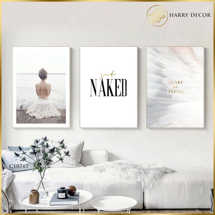 Bộ 3 Tranh Get Naked C10717