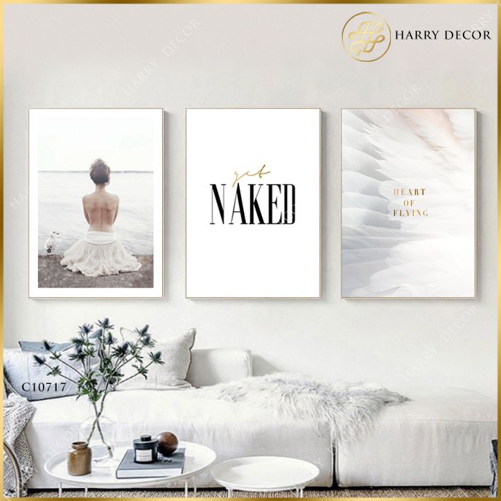 Bộ 3 Tranh Get Naked C10717