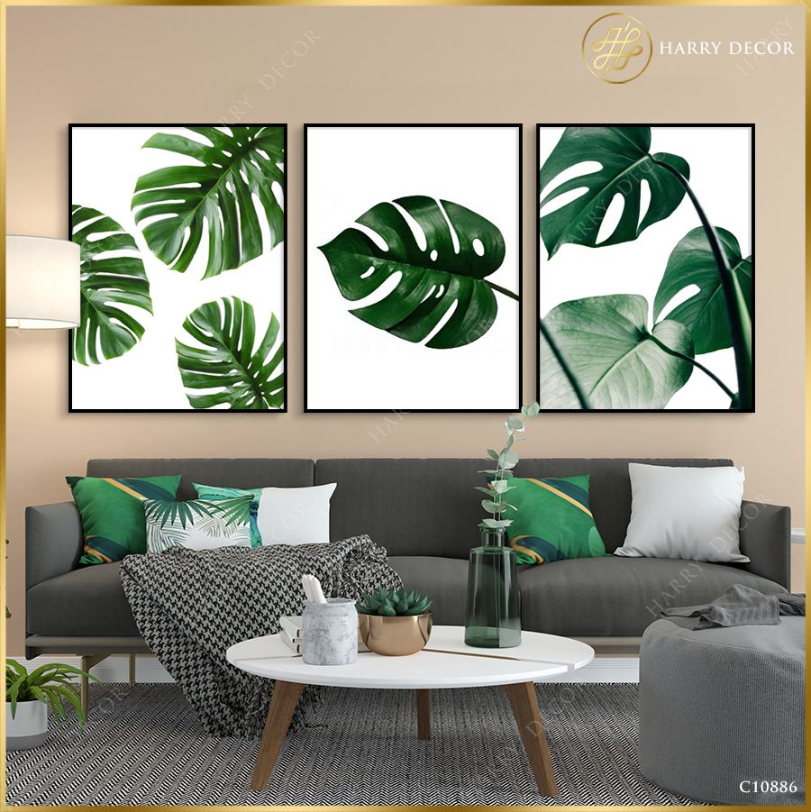 Bộ 3 Tranh Monstera Deliciosa Split Leaf C10886