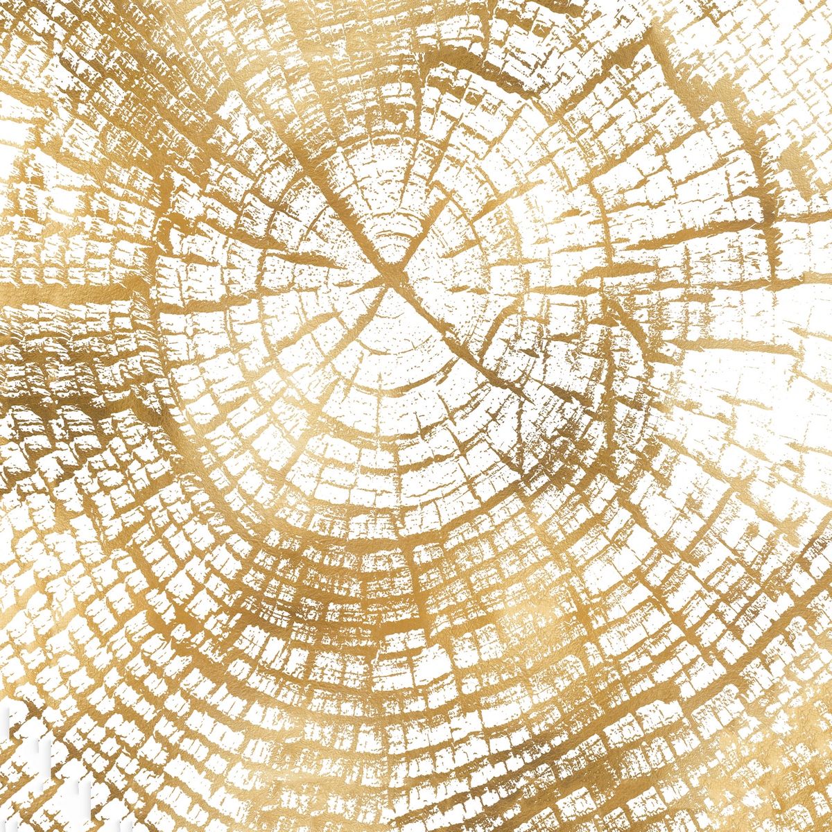 Tranh Vuông Golden Wood Surface 2 CD7TAO11484