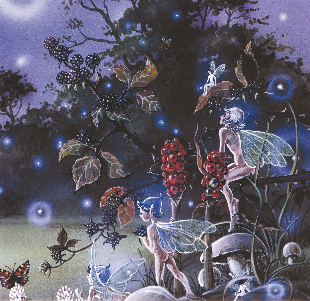 Tranh Vuông Jungle Fairy CSD7TAO11570