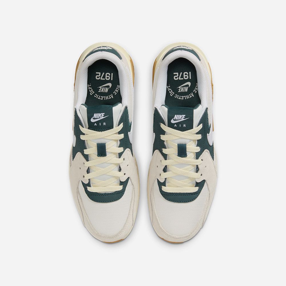 Giày Nike nam Air Max Excee FQ8067-133