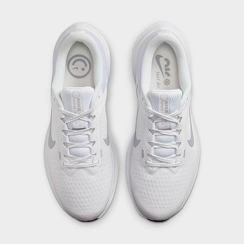 Giày nike Nam Air Winflo 10 nam DV4022-102