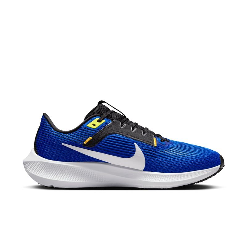 Giày Nike nam Pegasus 40 DV3853-401