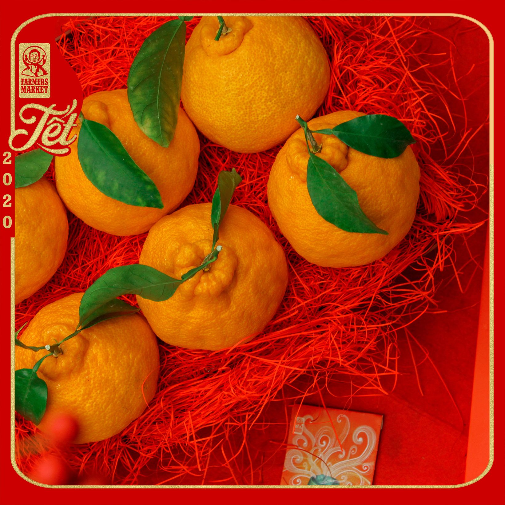 Hộp quà trái cây Tết - GOLD 10
