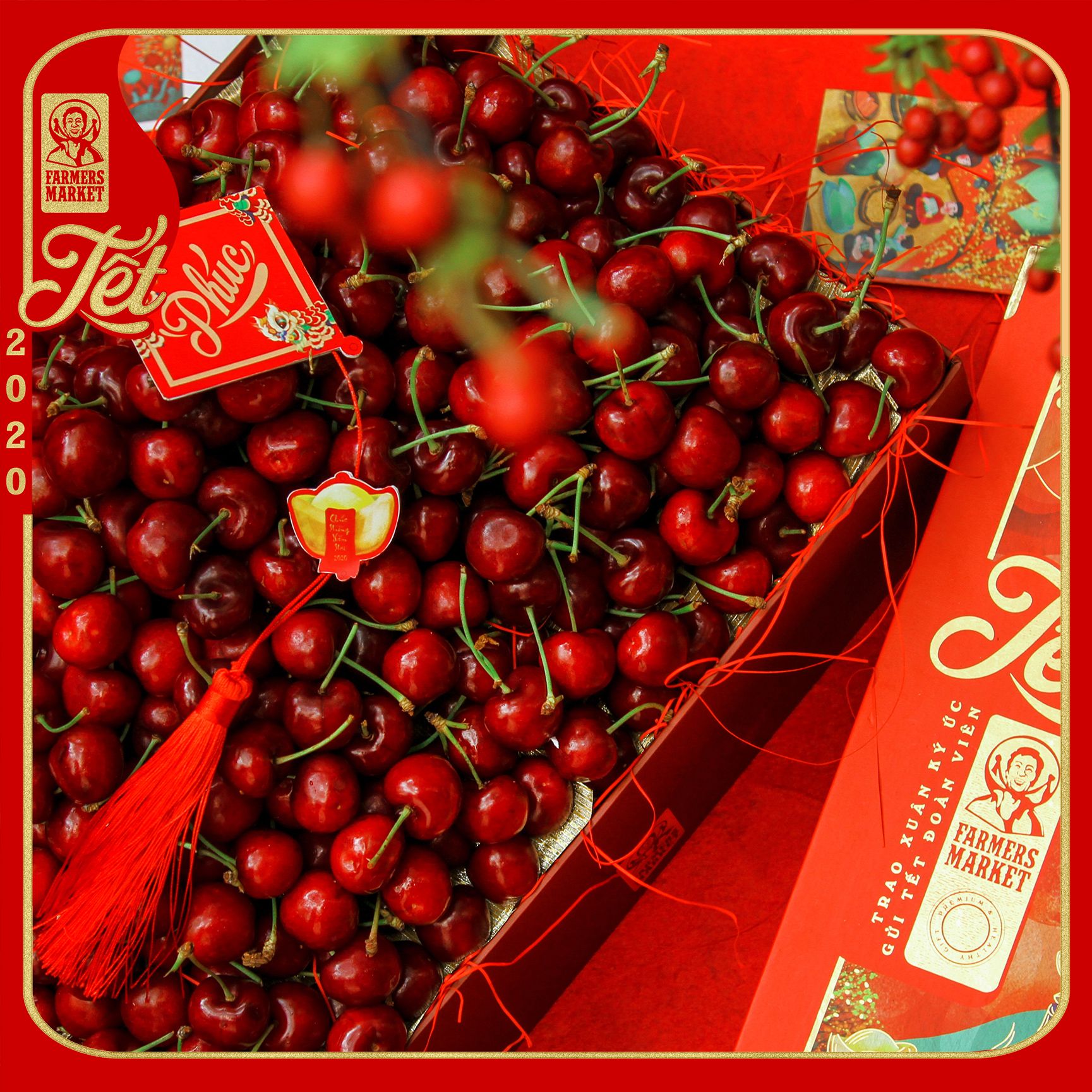 Hộp quà trái cây Tết - GOLD 11