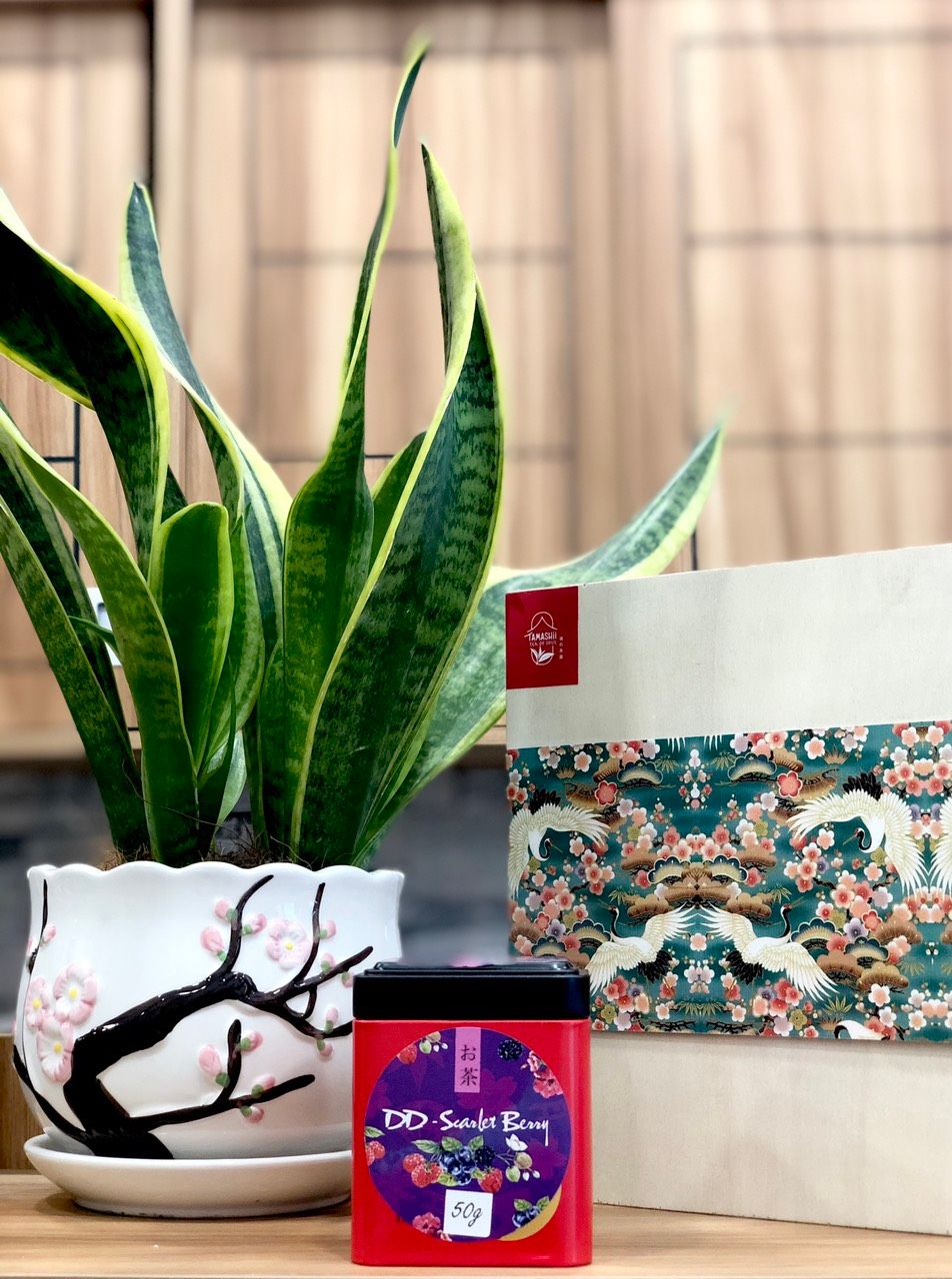 Trà Thảo Mộc Trái Cây DD-Scarlet Berry 50g - Đẹp Dáng Đẹp Da - Tamashii Teahouse