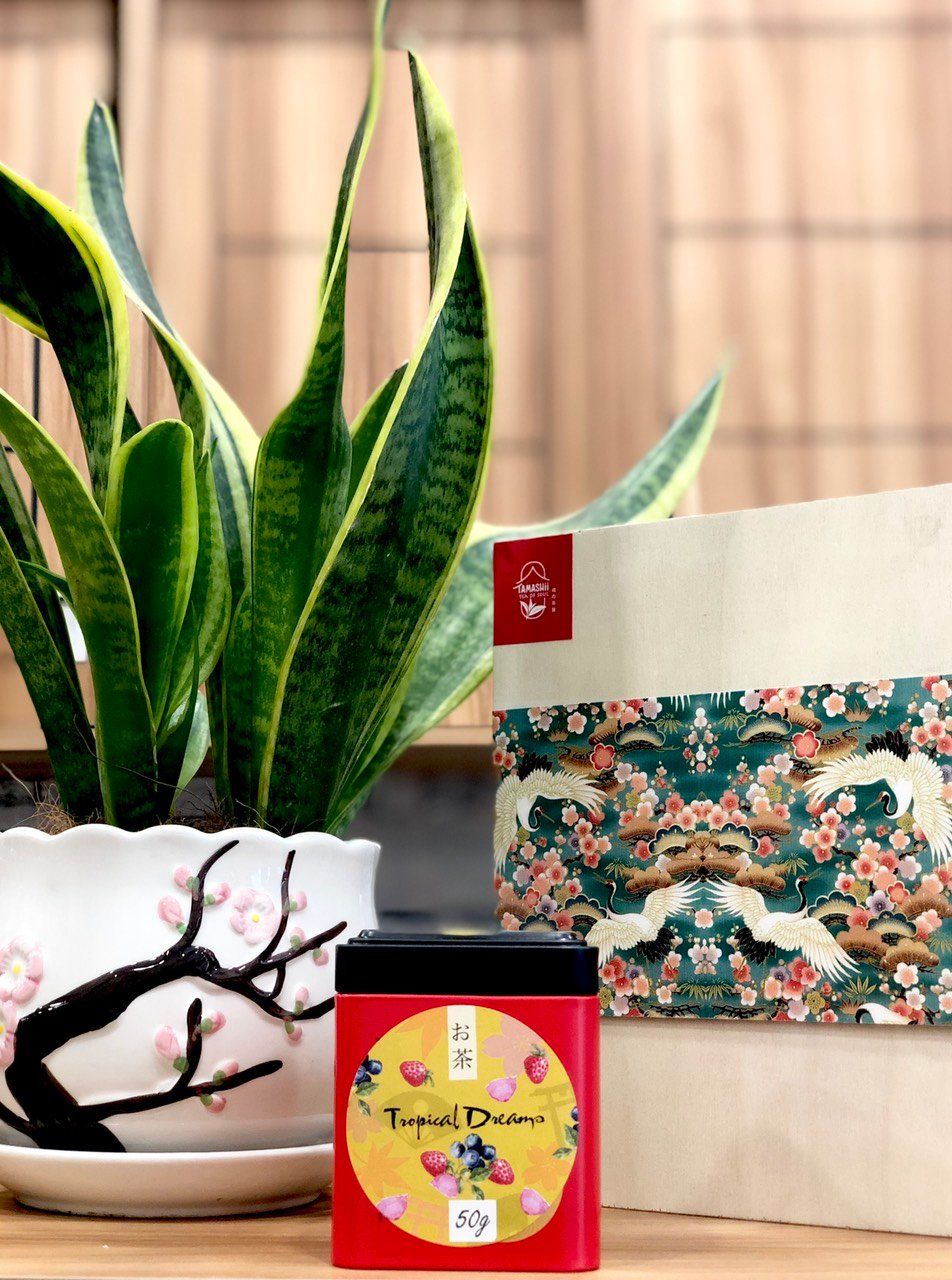 Trà Thảo Mộc Trái Cây Tropical Dreams 50g - Đẹp Dáng Đẹp Da - Tamashii Teahouse