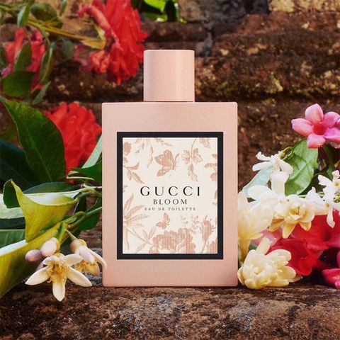 Gucci Bloom Eau de Toilette (Eau de Toilette/100ml)