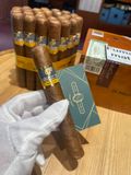 COHIBA 25 SIGLO  VI (Giá: Liên hệ)