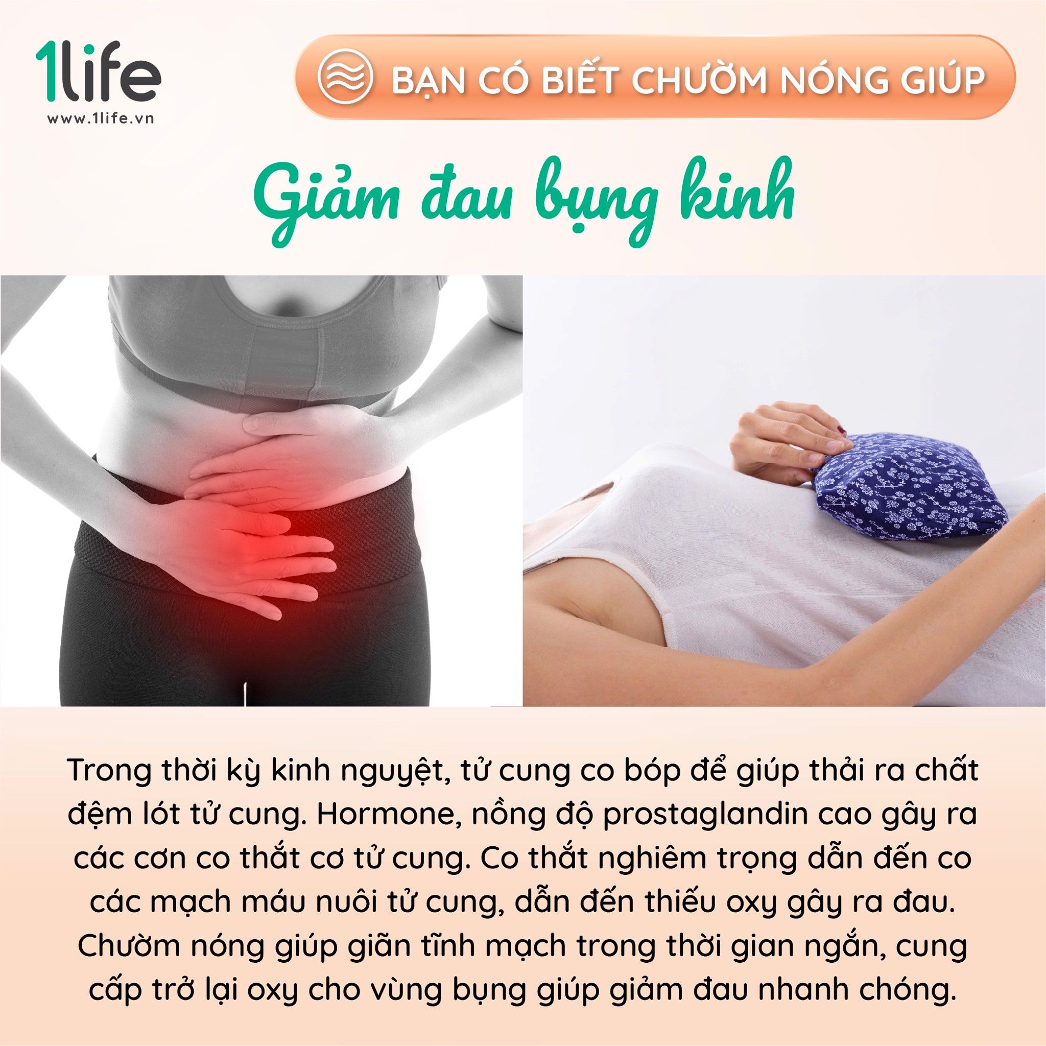 Gối thảo mộc chườm Lưng Bụng