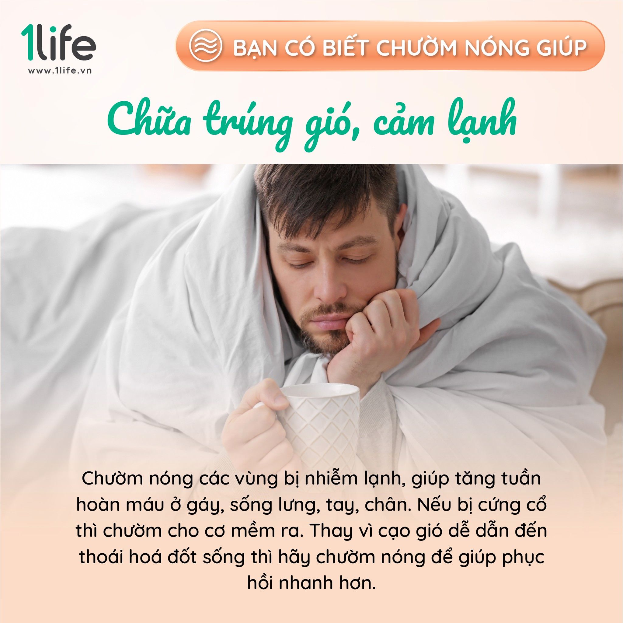 Gối thảo mộc chườm Lưng Bụng