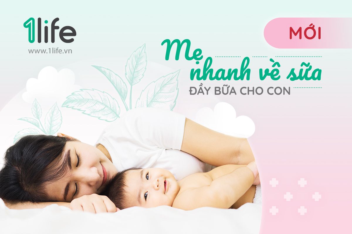Túi thảo mộc chườm bầu ngực