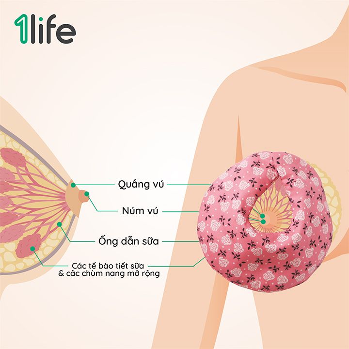 Túi thảo mộc chườm bầu ngực
