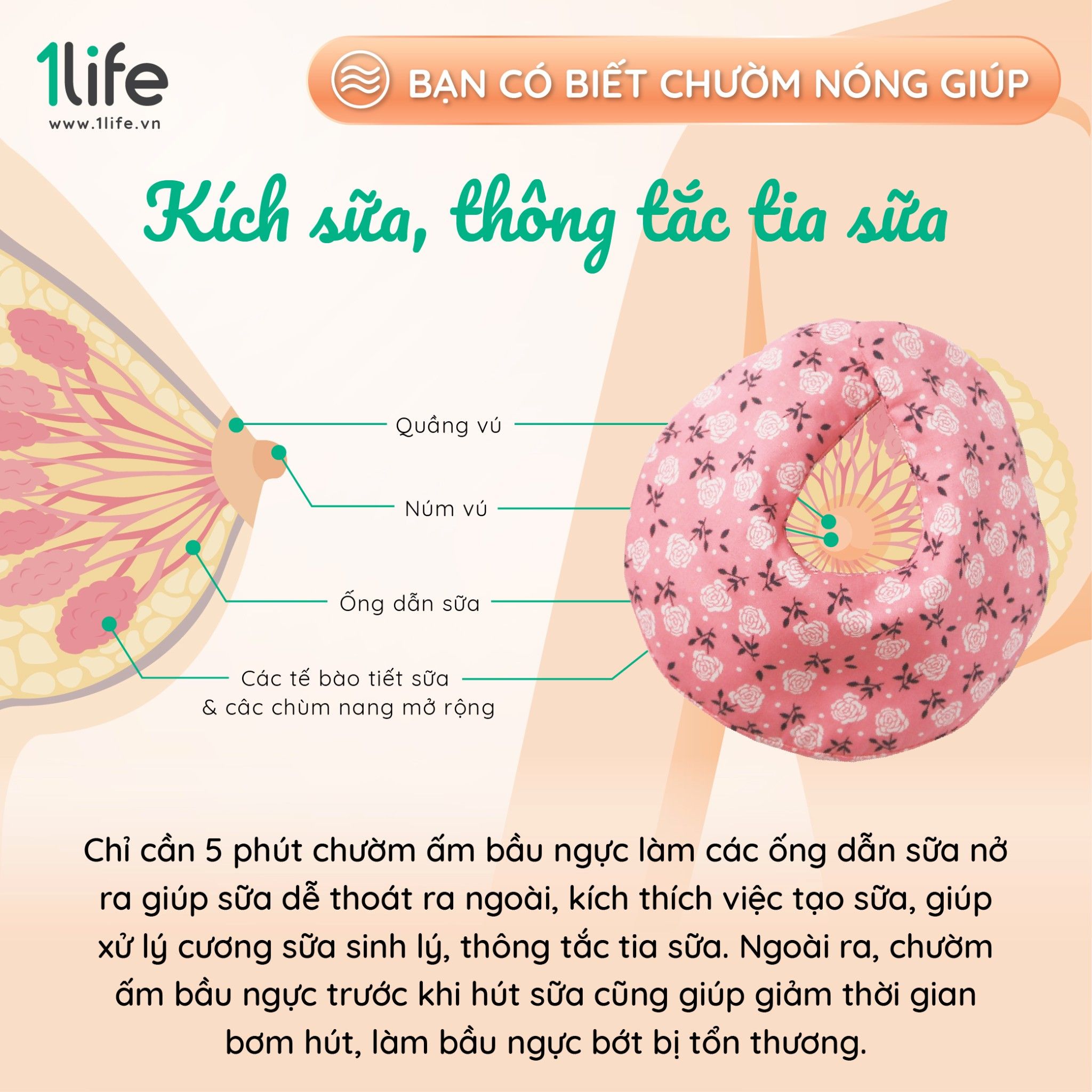 Túi thảo mộc chườm bầu ngực