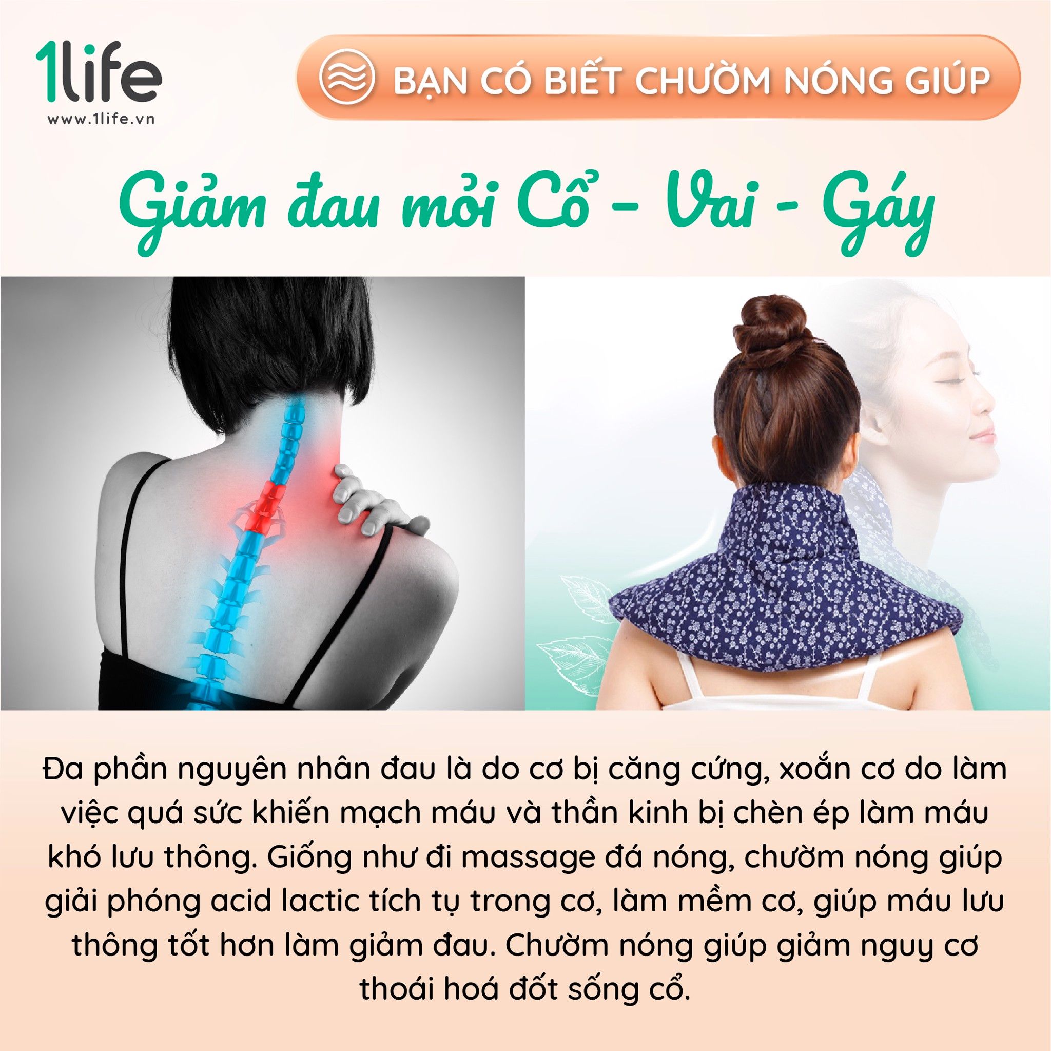 Gối thảo mộc chườm Vai Gáy