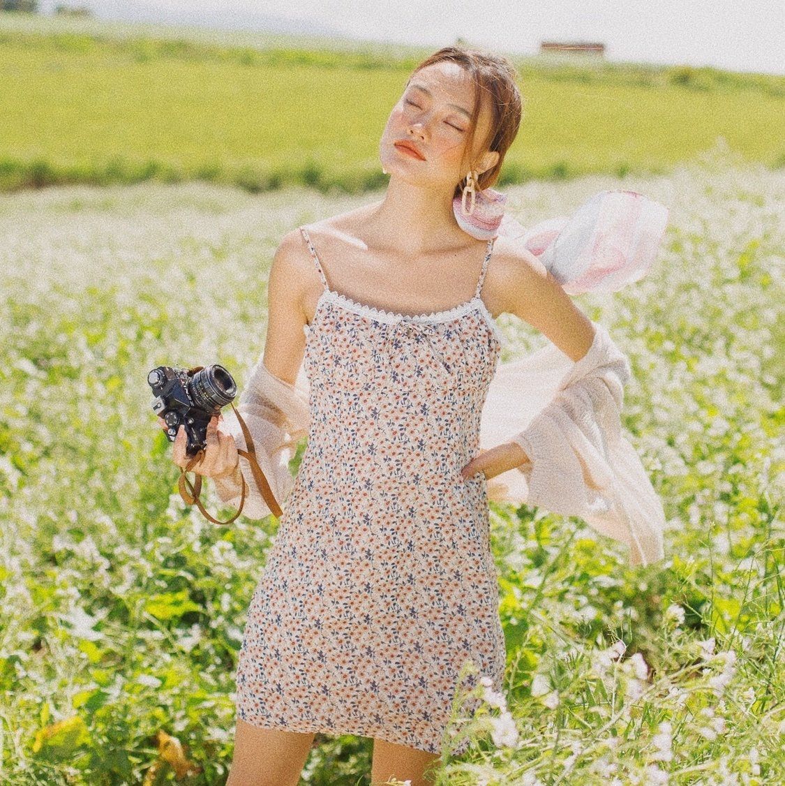 Alidadress - Đầm Alida