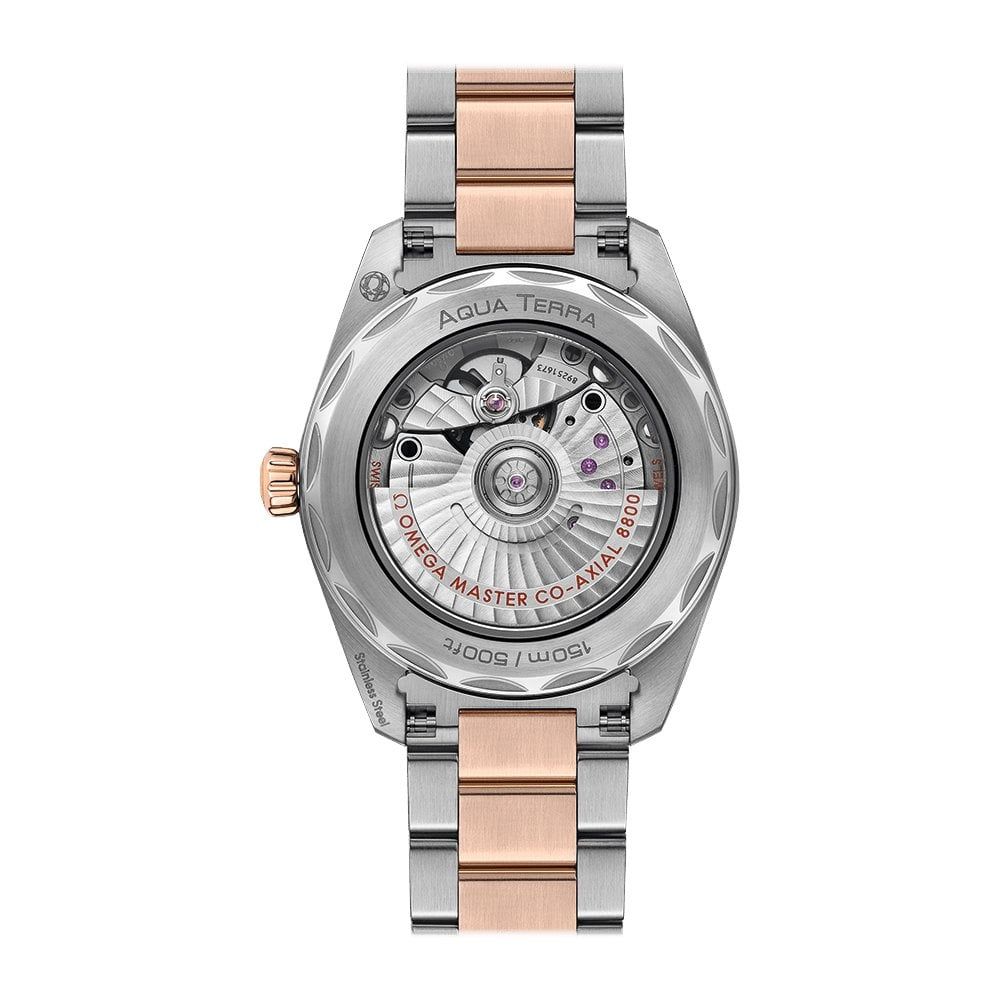 Omega Seamaster Aqua Terra Ladies' Collection 220.25.38.20.55.001