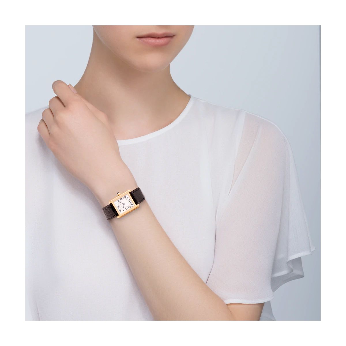 Cartier Tank Solo Small Model Yellow Gold And Steel Leather